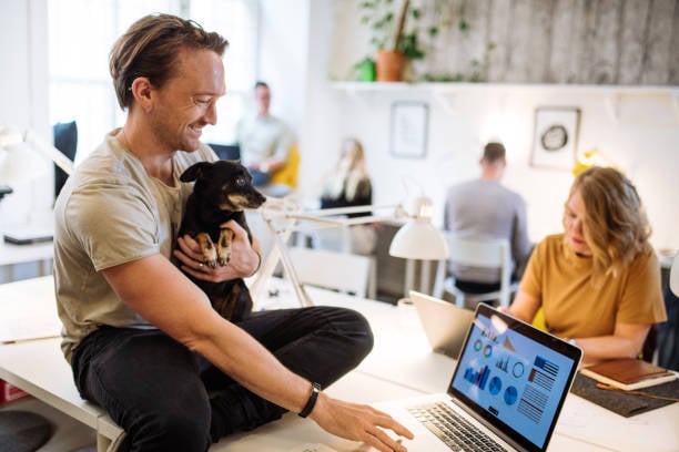 reporting on existing and potential customers for new pet-care business location