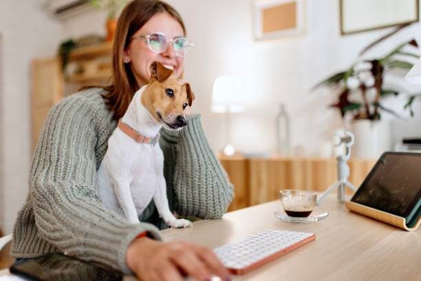 Picture of Creating a Strong Management Team in Enterprise Pet-Care Businesses