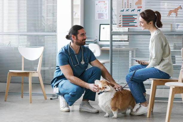 Picture of Customer Conflict Resolution Strategies for Pet-Care Businesses