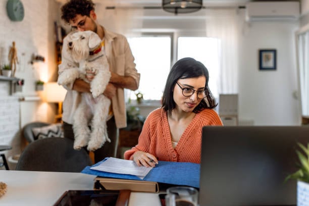 pet parents on computer with dog filing for dog license