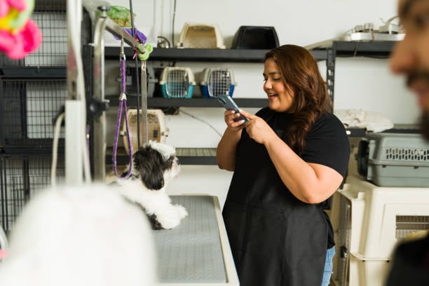 dog groomer texting pet parent with pup ready for pickup