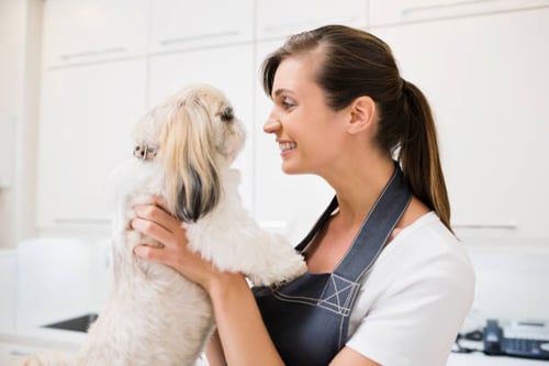 A Fluff-tastic Experience: Preparing Your Dog for Their First Grooming Appointment