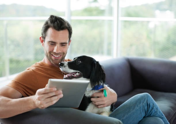 How Loyalty Programs Can Boost Your Pet-Care Business - Pet Grooming Business Loyalty Programs In Iowa