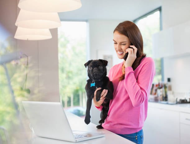 Preparing Your Dog Grooming Business for the Busy Season
