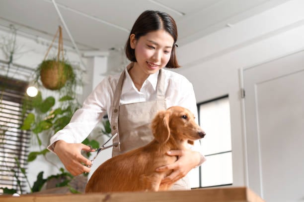 sustainable dog groomer with pup