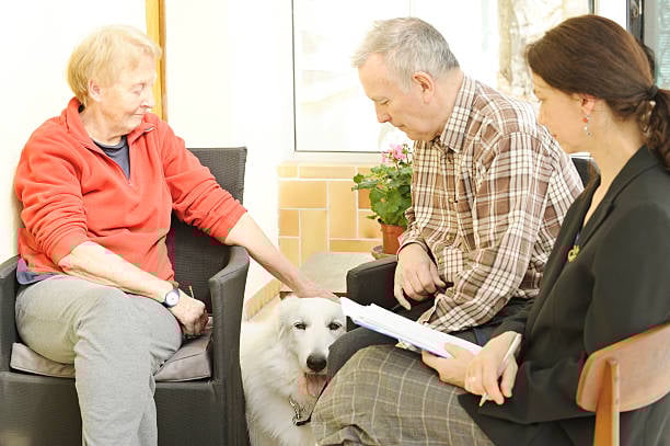 dog hiding in lobby during checkout