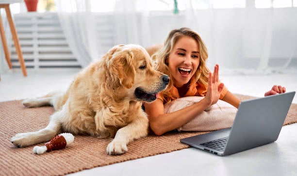The Rise of Virtual Dog Training