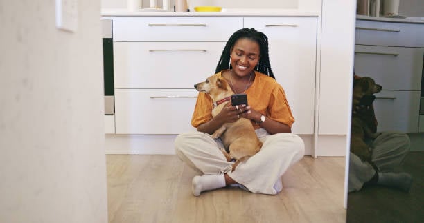 pet parent using a feeding app on smartphone for dog