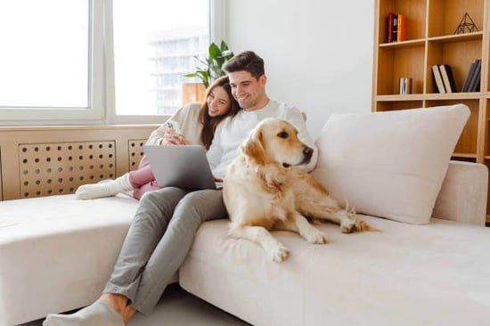 two people use a laptop as their dog sits next to them on the couch