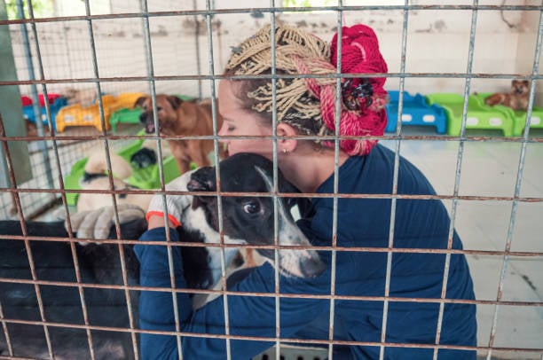 kennel owner hugging a dog at her pet-care business