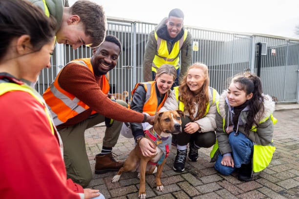 young pet rescue volunteers waiting for pet parents to adopt sweet dog