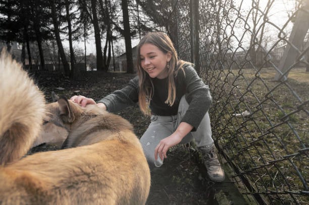 girl at dog park petting a pup
