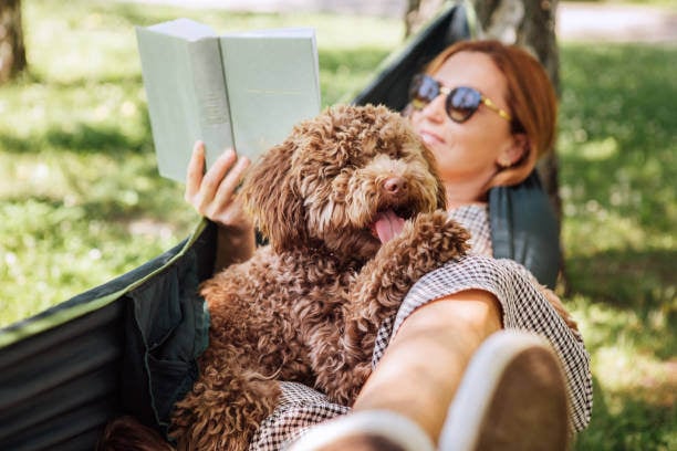 4 Ways Large Pet Businesses Can Foster Strong Employee Engagement