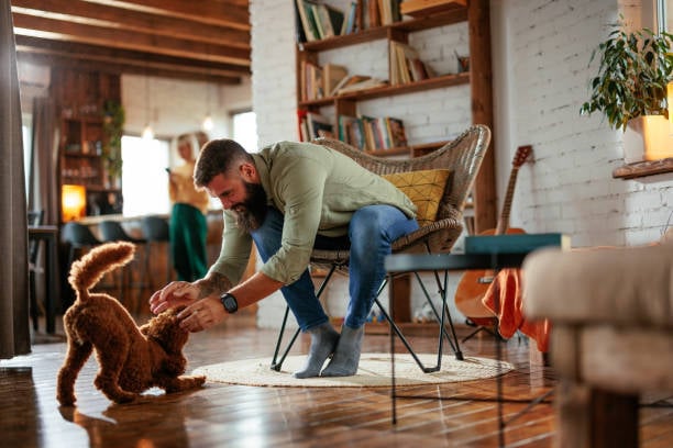 couple playing with and training dog inside in winter months