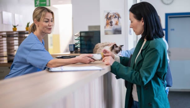 front desk employee talking with cat parent at checkin