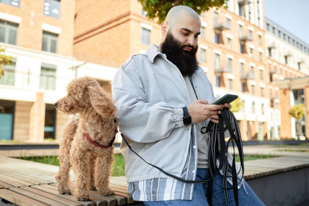 pet parent and poodle using mobile app for pet business