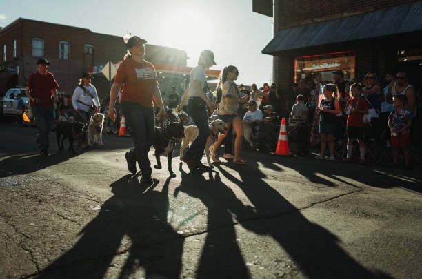 community parade with dogs and onlookers