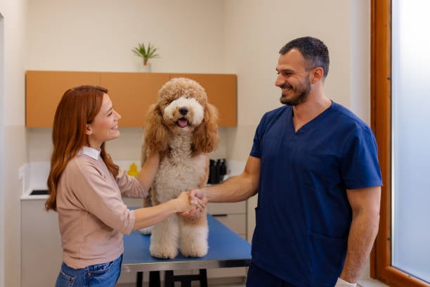 happy pet parent and groomer shaking hands while dog smiles on