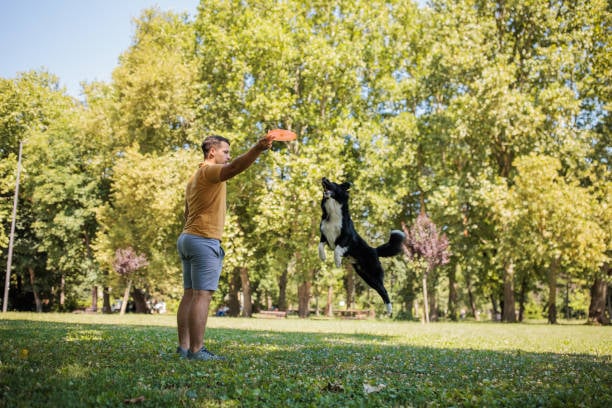 man and dog playing frisbee dog park customer retention