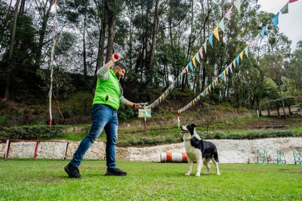 dog trainer and pup outside playing ball