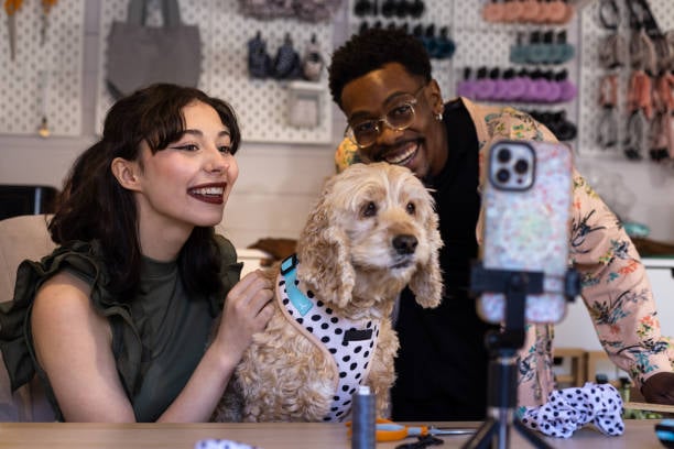 pet business owners posting new promo and products on social media