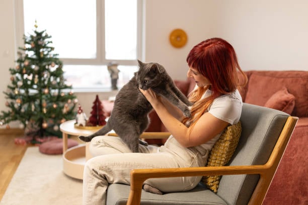 cat and parent in pet boarding facility lobby decorated for the holidays