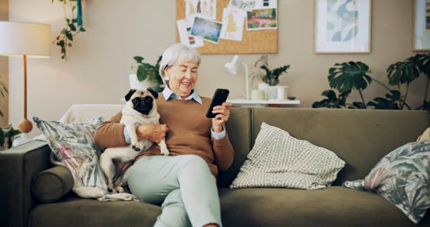 woman checking mail on phone with pug nearby