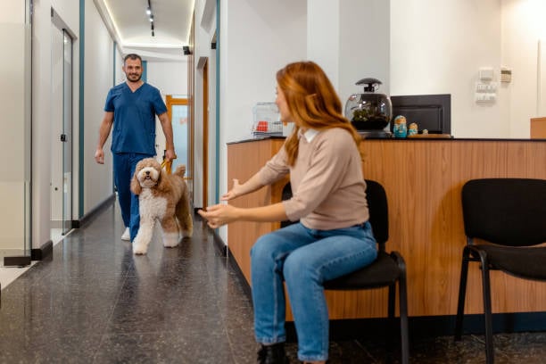 pet parent waiting for dog in pet business lobby