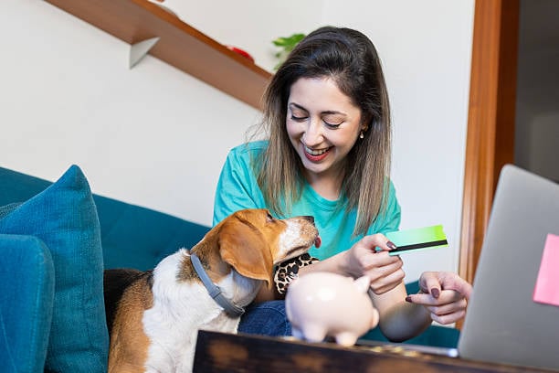 dog mom adding payment details and financial data to online pet portal