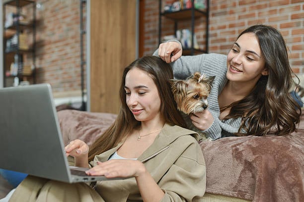 two pet parents researching dog groomer