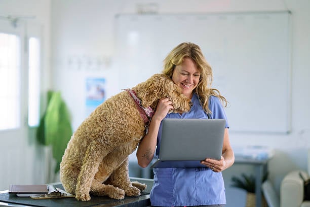 pre-care professional snuggling dog with laptop
