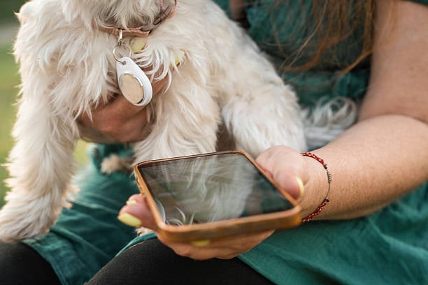 dog mom leaving comments on smartphone