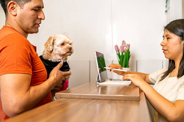 dog lover and professional reviewing dashboard on device