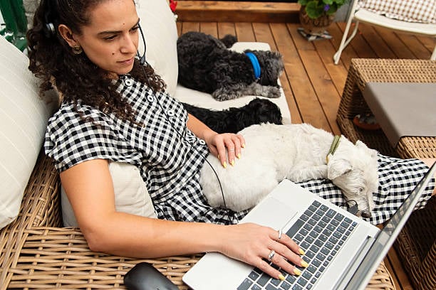 stressed pet caregiver with dogs looking at computer