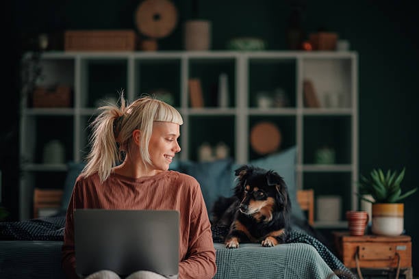 pet caregiver with laptop and dog practicing data security