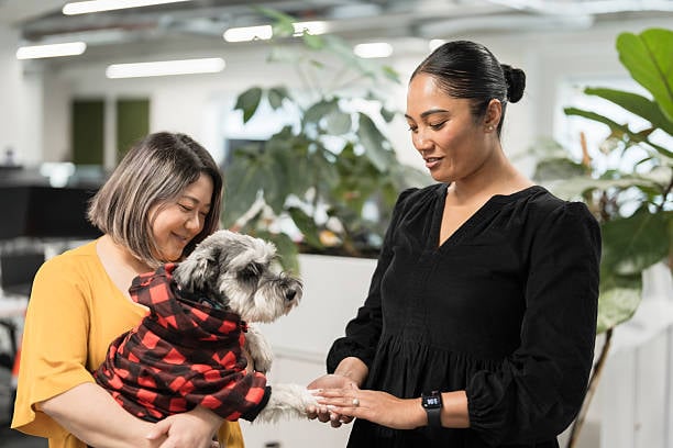 pet parent and pet business owner with dog in sweater
