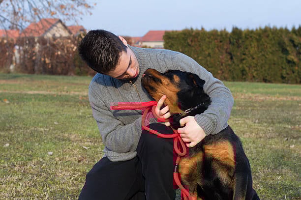 dog trainer giving dog extra attention during DST