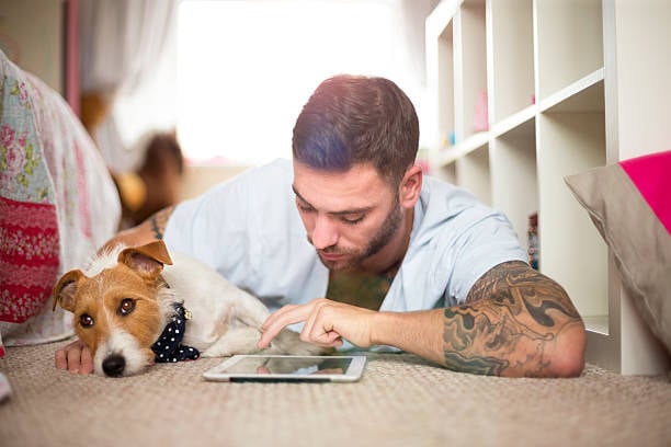 Email Marketing Strategies for Pet-Care Businesses