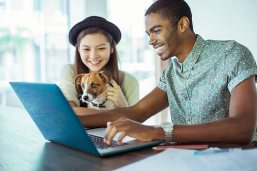 How to Appear Higher on Search Results: SEO Tips for Pet-Care Businesses