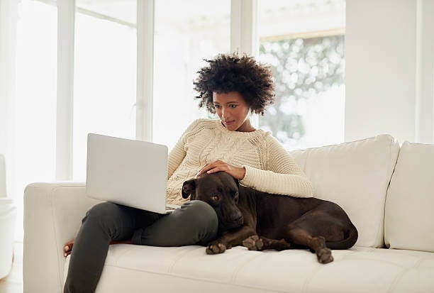 The Importance of Data Hygiene for Your Pet Business