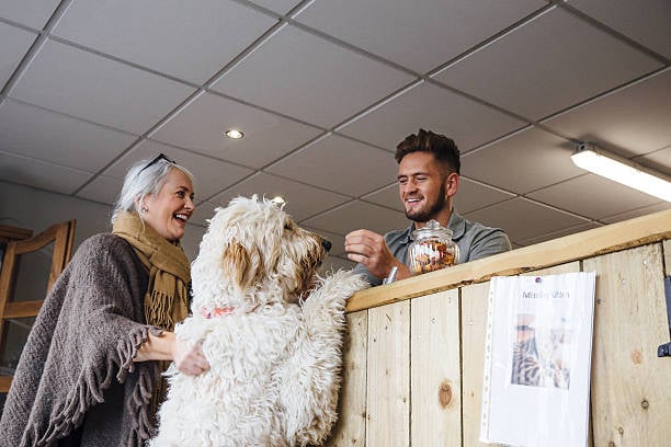 cheerful customer service at pet-care business front desk