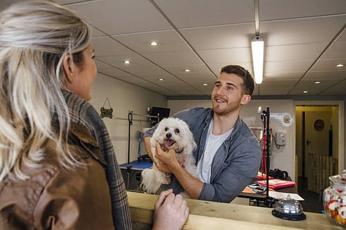 How to Increase Tips at Your Pet-Care Business: 5 Strategies