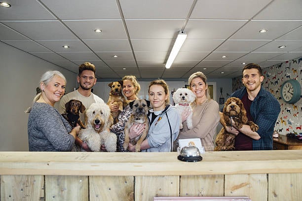 Exploring Franchise Opportunities in Pet Care