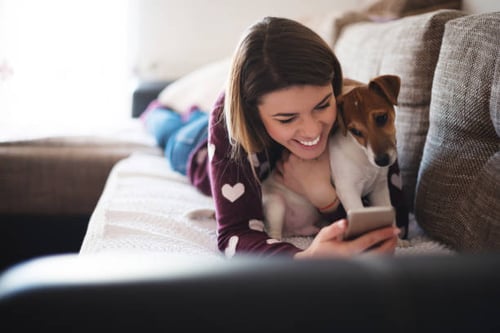 Kuinka sosiaalinen media muuttaa koiranpäivähoitoyrityksiä