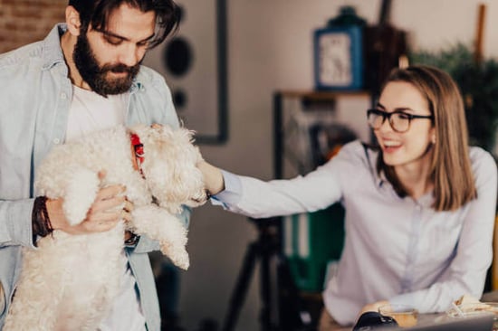 A woman pets a dog as a man holds it