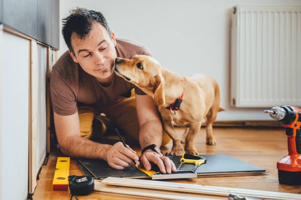 Facility Maintenance Tips for Pet-Care Businesses