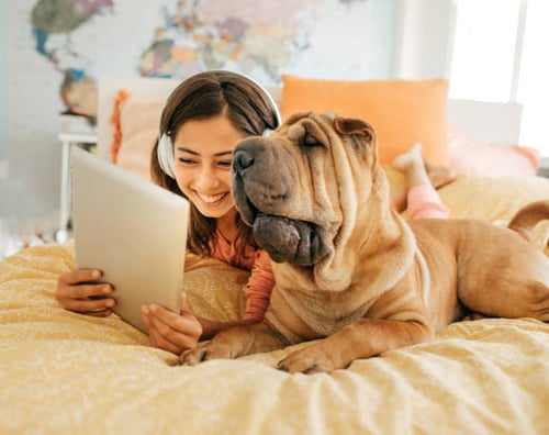 The Paw-sitive Impact of Social Media on Pet-Care Businesses