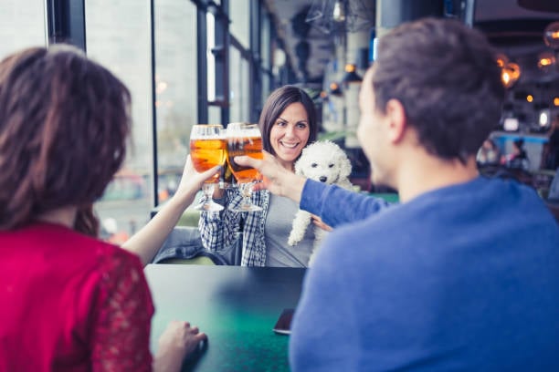 This image is of an adorable dog in with friends at a bar, representing how investing in dog daycare software can help you keep your business fun. 