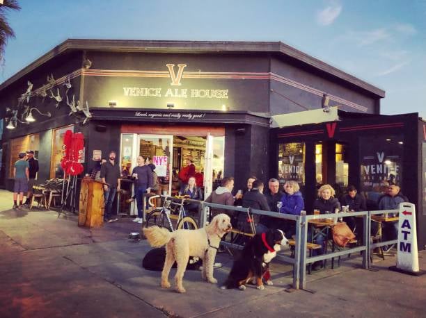 dog bar patio in winter time