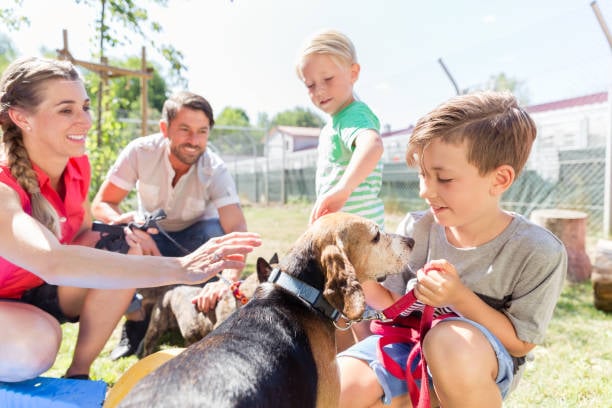 Hosting Community Events at Your Pet-Care Business